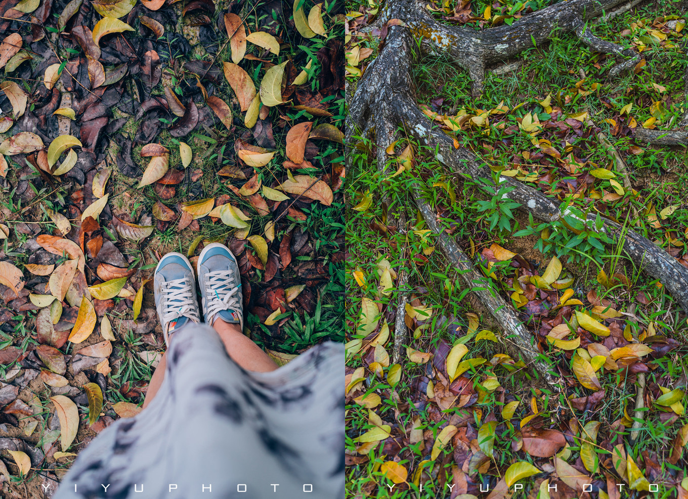 悠游一夏，马来西亚——六日自由行攻略