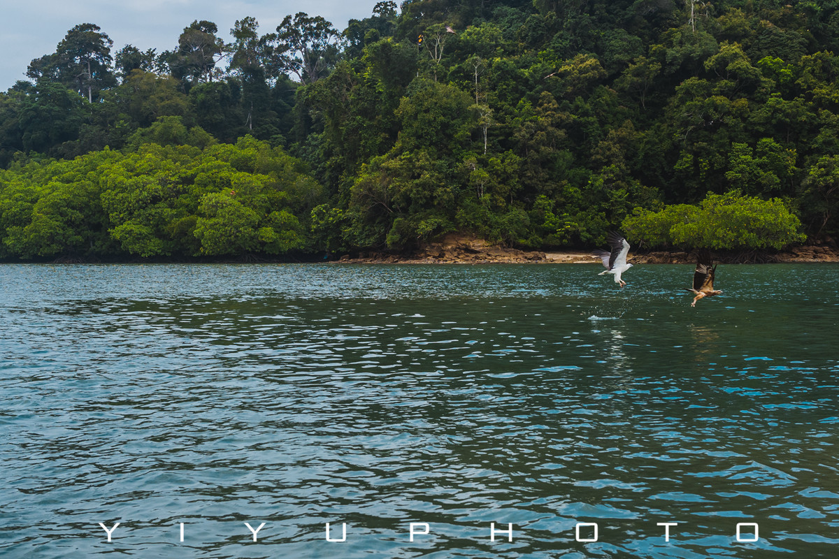 悠游一夏，马来西亚——六日自由行攻略