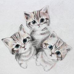 ps入门教程从零开始学会,ps基础教程新手入门ps