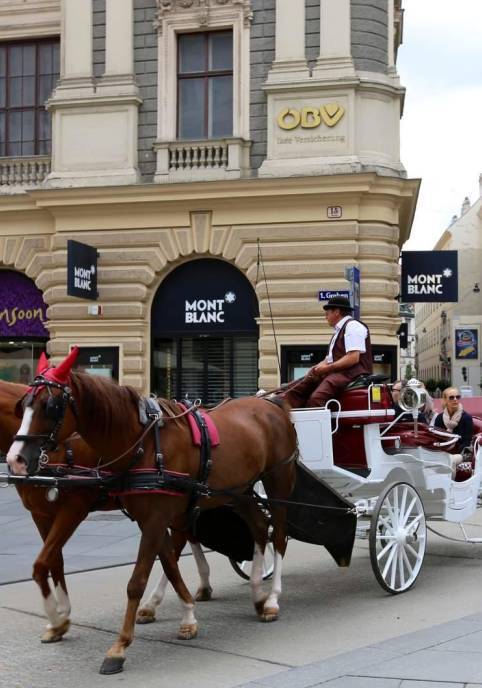 维也纳音乐之旅,音乐之都维也纳的收获与体验