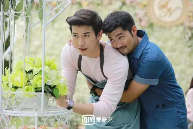 梨涡男明星推哥,梨涡男神push完整版