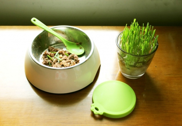 喵星人不吃麦片,猫咪化毛膏也不吃猫草