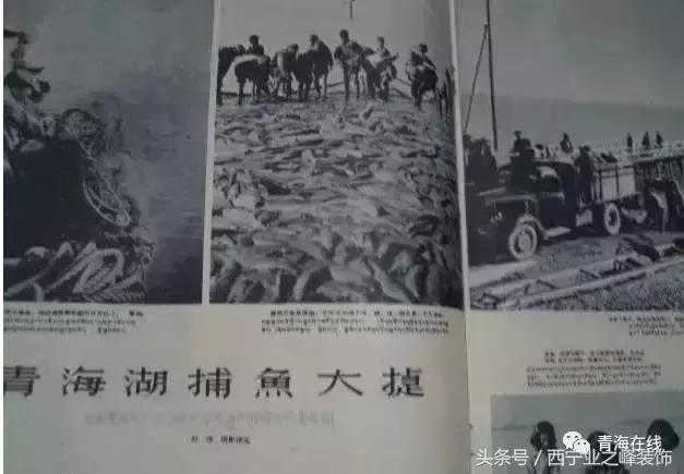 太有才了!一欢蛋把青海30个地名连在一起读