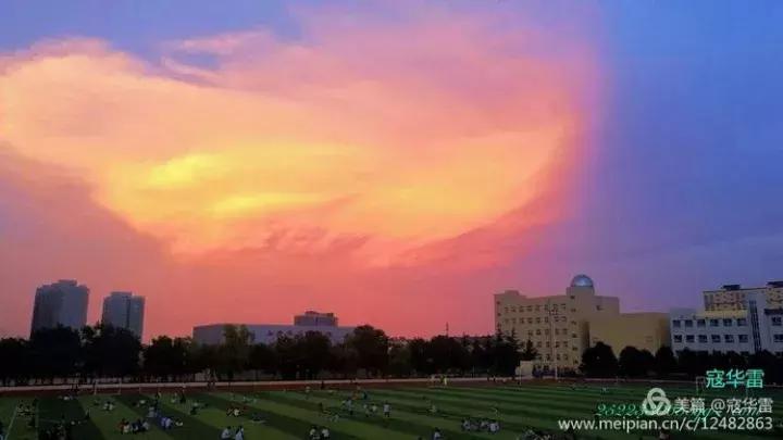 中国天然氧吧为什么是永寿,永寿槐林氧吧