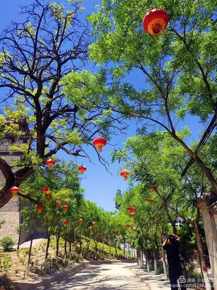 中国天然氧吧为什么是永寿,永寿槐林氧吧