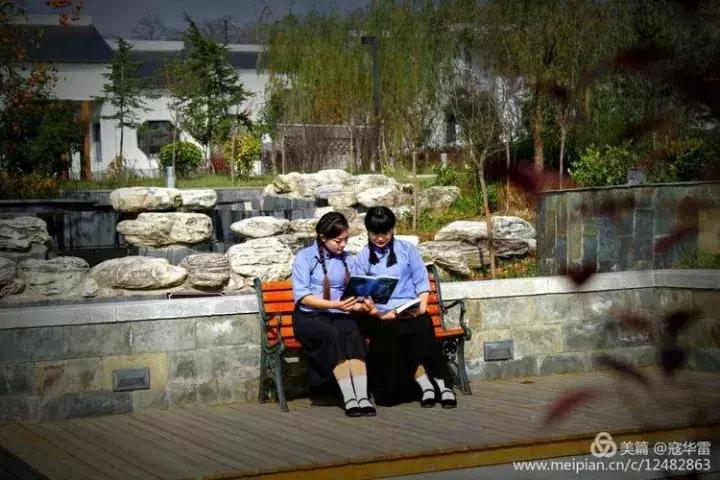 中国天然氧吧为什么是永寿,永寿槐林氧吧