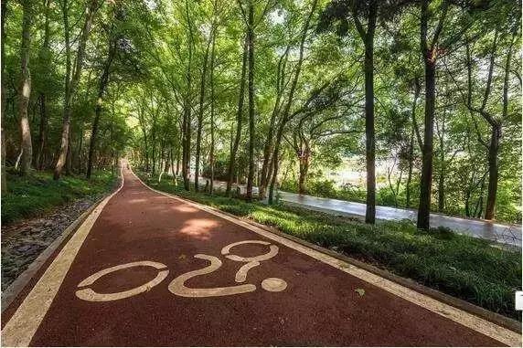 12月武汉一大波好消息集中爆发！条条都和你息息相关！