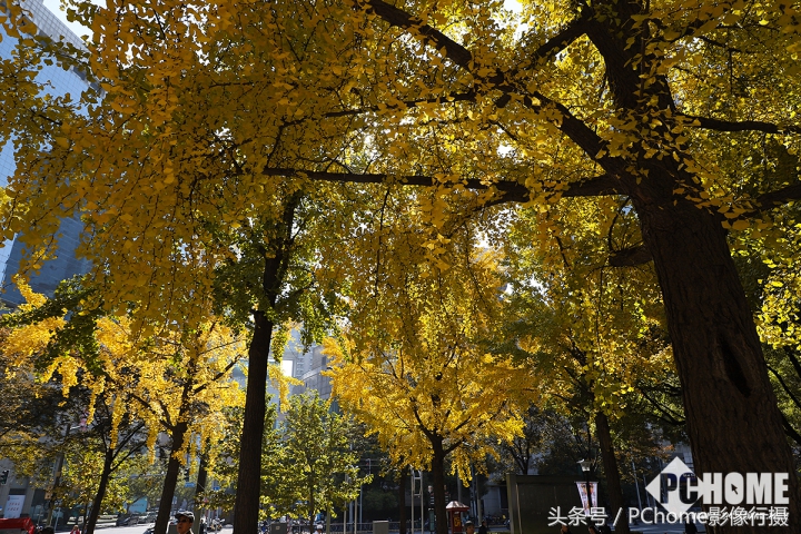 值得入手的数码相机平价佳能,佳能相机测评今年