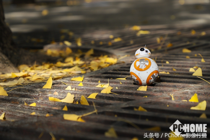 值得入手的数码相机平价佳能,佳能相机测评今年