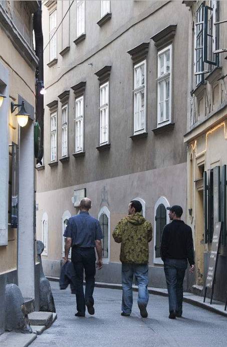 维也纳音乐之旅,音乐之都维也纳的收获与体验