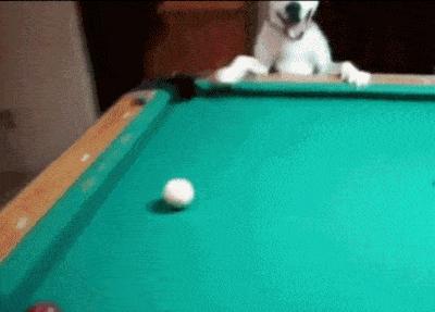 姣忔棩绗戞姤鐖嗙瑧璇綍,姣忔棩绗戞姤2014