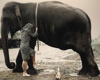 班尼特福迪玩自己的游戏,班尼特福迪记录