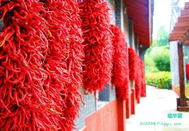 中国天然氧吧为什么是永寿,永寿槐林氧吧