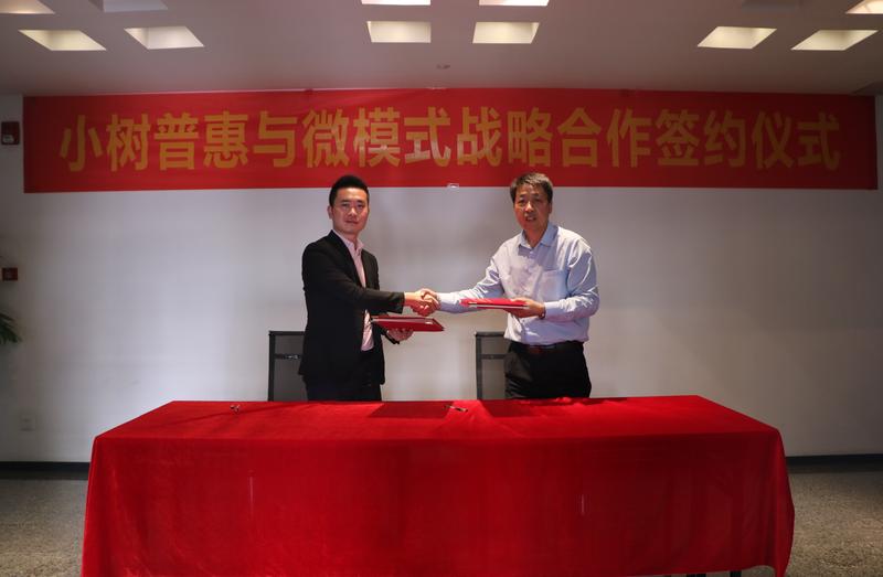 小树普惠正规吗,小树普惠审核需要多久