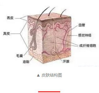 孕妇皮肤变差如何护肤,怀孕期多护肤皮肤是不是会变好