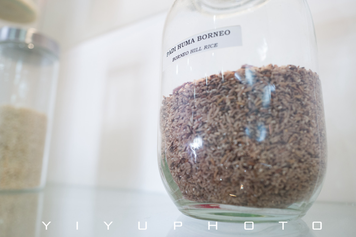 悠游一夏，马来西亚——六日自由行攻略