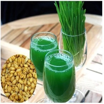 喵星人不吃麦片,猫咪化毛膏也不吃猫草