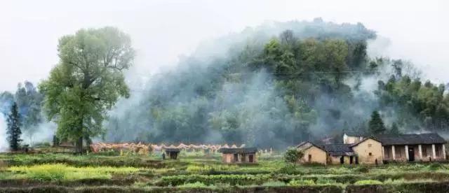 千年古县，龙源临武｜“美丽中国”系列微电影摄制组临武创作采风