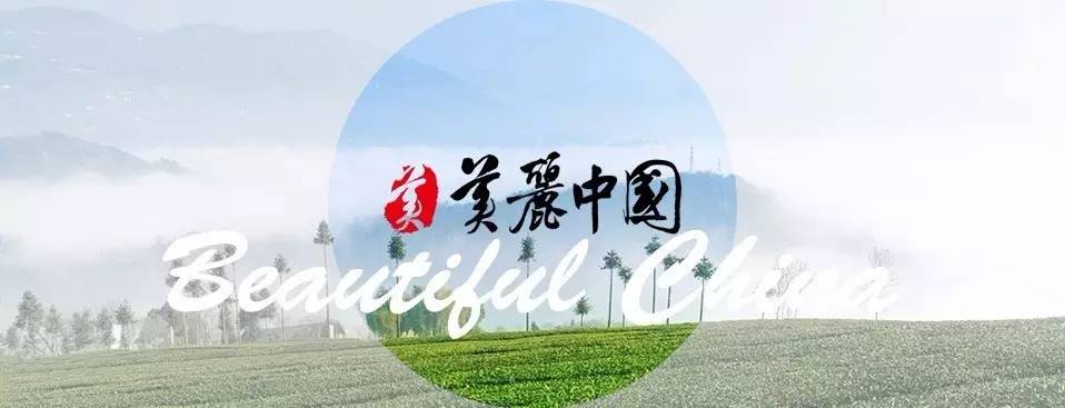千年古县，龙源临武｜“美丽中国”系列微电影摄制组临武创作采风