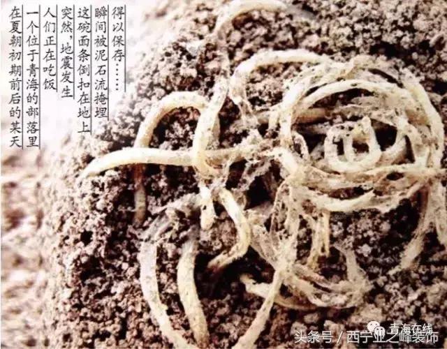 太有才了!一欢蛋把青海30个地名连在一起读