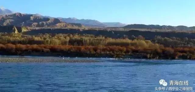 太有才了!一欢蛋把青海30个地名连在一起读