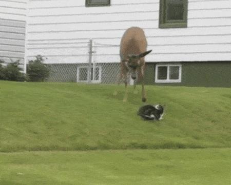 姣忔棩绗戞姤鐖嗙瑧璇綍,姣忔棩绗戞姤2014