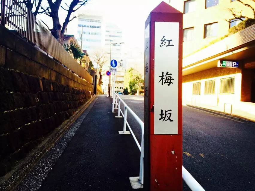 涓滀含婕姝岃垶浼庣敽,涓滀含寰¤尪涔嬫按