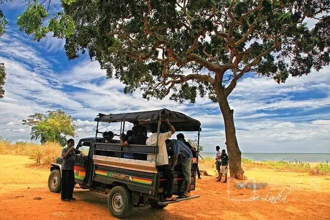 往返二张机票,往返机票去云南和西双版纳