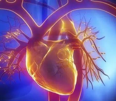 抗栓药物使用原则,抗栓药哪种效果最好用