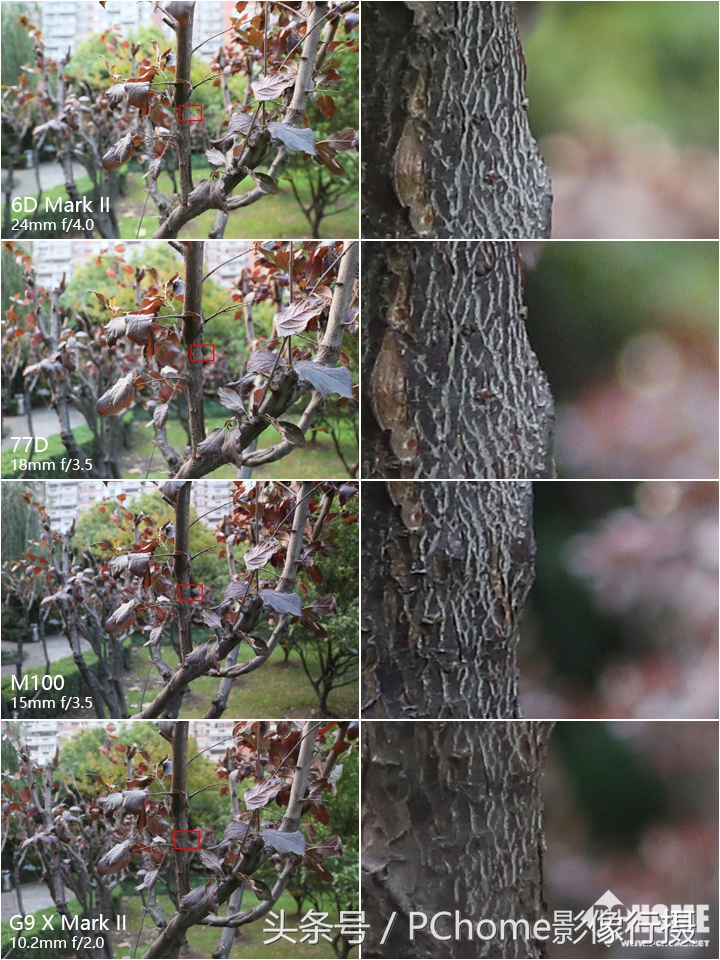 值得入手的数码相机平价佳能,佳能相机测评今年