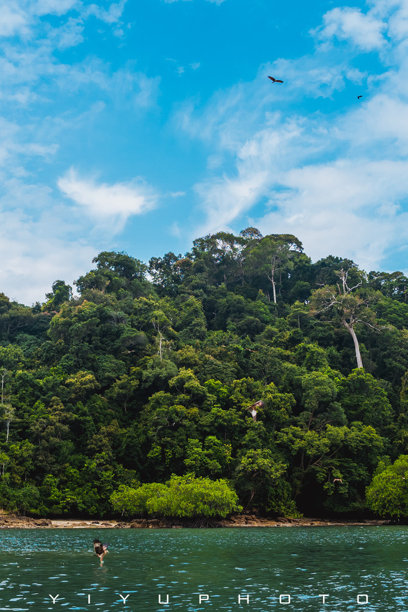 悠游一夏，马来西亚——六日自由行攻略