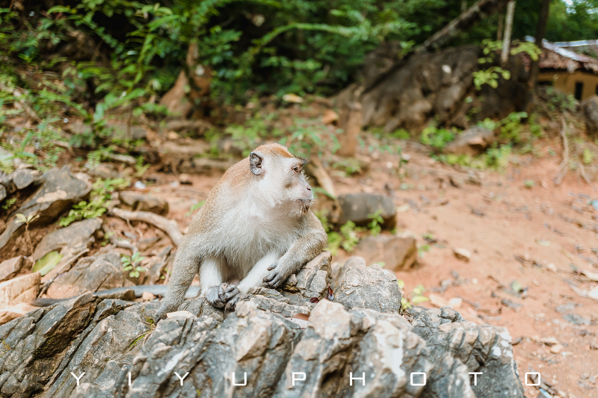 悠游一夏，马来西亚——六日自由行攻略