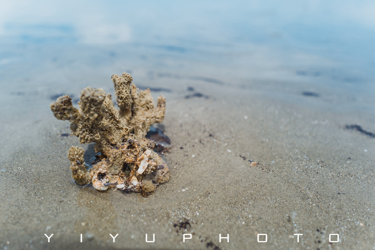 悠游一夏，马来西亚——六日自由行攻略