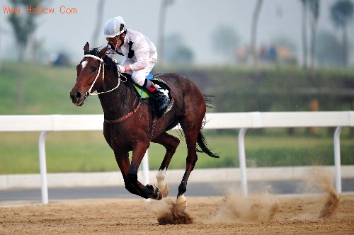 鑽峰叞璧涢┈,浣庝环璐拱鏃犳硶鍙戣揣鐢宠浠茶