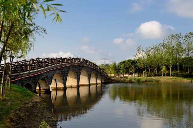 上海地铁9号线延伸段站点,上海地铁9号线延伸金山