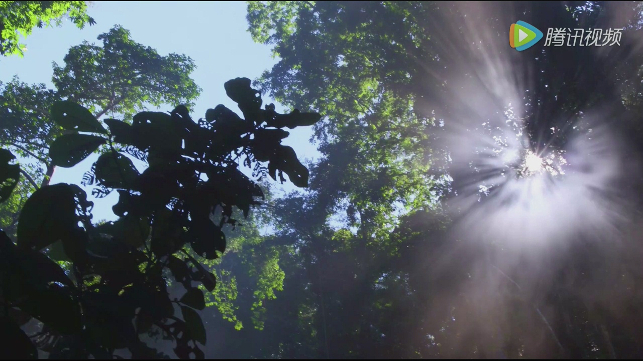 两款热销上万100元+电视盒子深度PK：谁才是性价比之王？