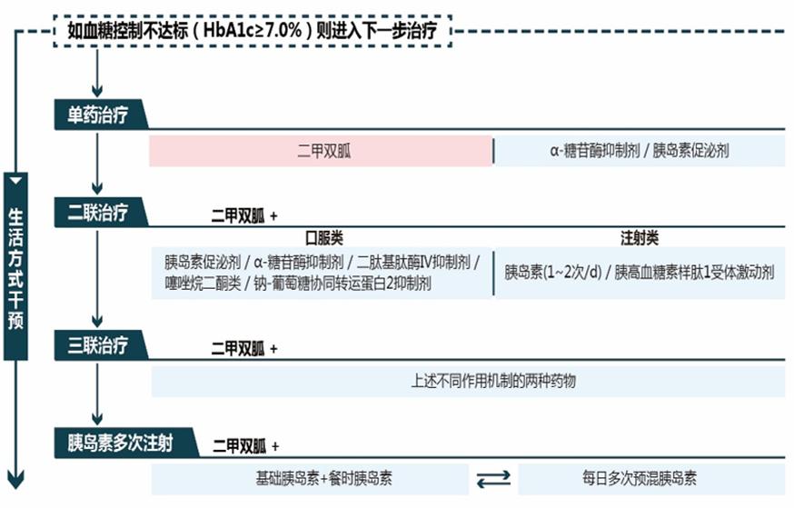 糖尿病中医指南,2022年糖尿病治愈新进展