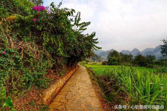 坝美世外桃源简介,坝美世外桃源旅游怎么样