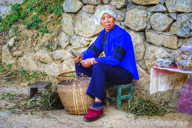 坝美世外桃源简介,坝美世外桃源旅游怎么样