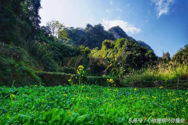 坝美世外桃源简介,坝美世外桃源旅游怎么样