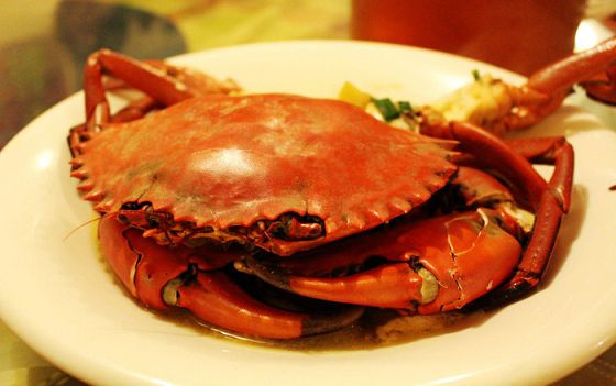 从前爱上帕劳有九大理由，现在我们给你第十个！