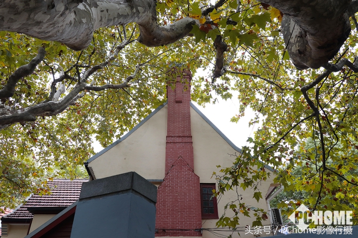 值得入手的数码相机平价佳能,佳能相机测评今年