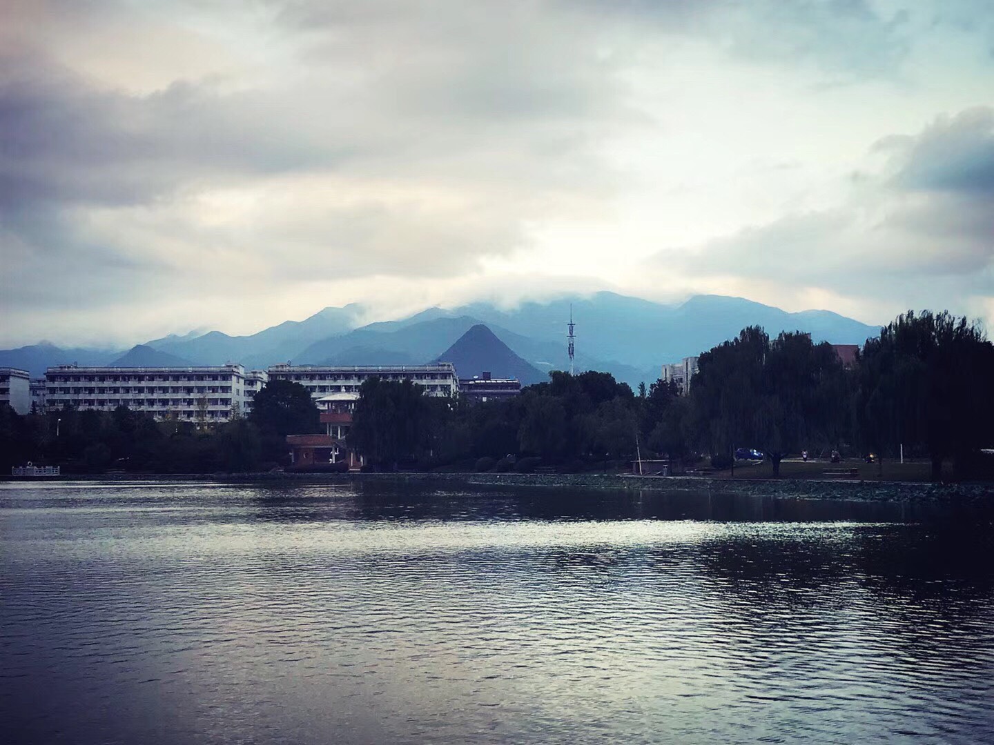 这是，浙师！双龙学者王辉教授眼中的师大，美不胜收！