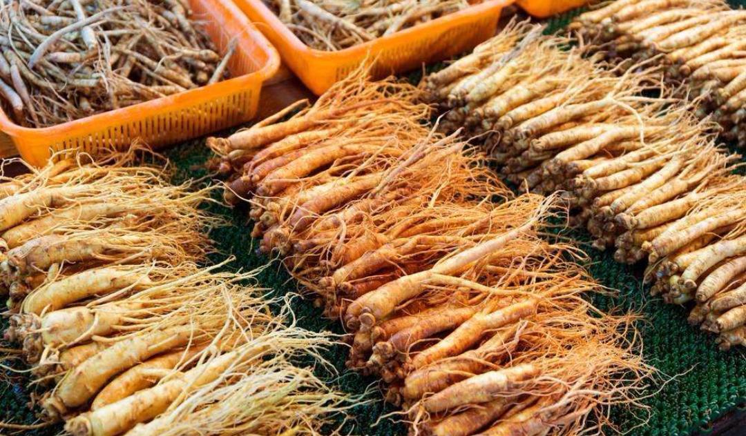 韩国人把人参当食品,人参是一种大补品