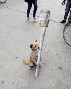 姣忔棩绗戞姤鐖嗙瑧璇綍,姣忔棩绗戞姤2014