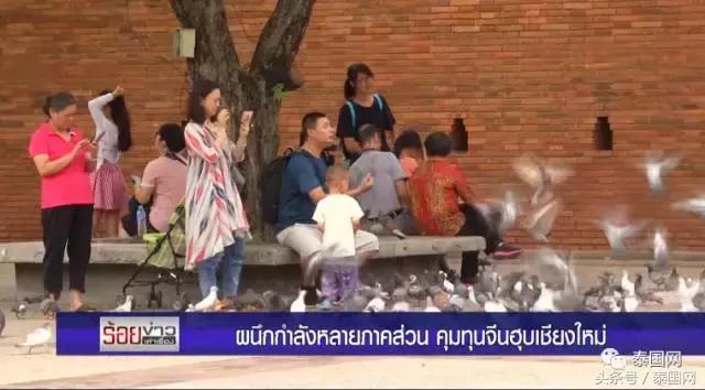 泰国记者谈中国人,泰国记者介绍西双版纳视频