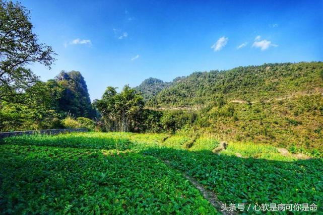 坝美世外桃源简介,坝美世外桃源旅游怎么样