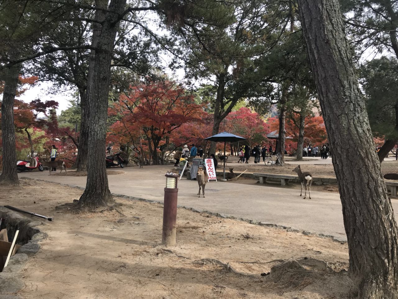 日本关西美食攻略,跟我游旅游攻略