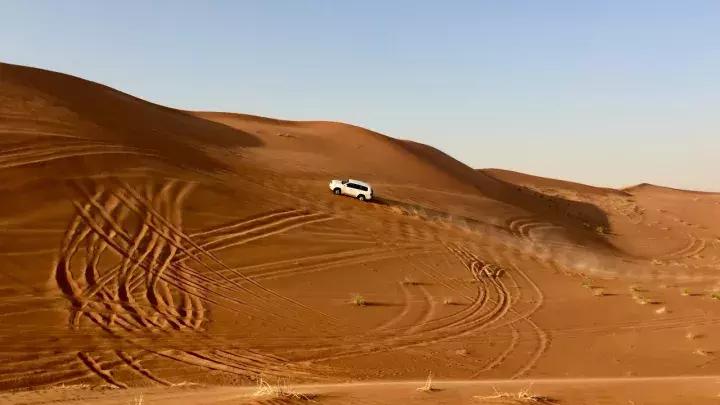 刺激的游乐场把男生吓哭了,刺激的游乐项目把人吓死
