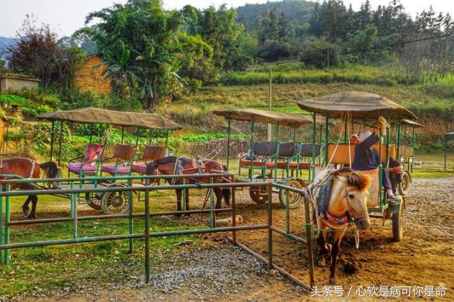 坝美世外桃源简介,坝美世外桃源旅游怎么样